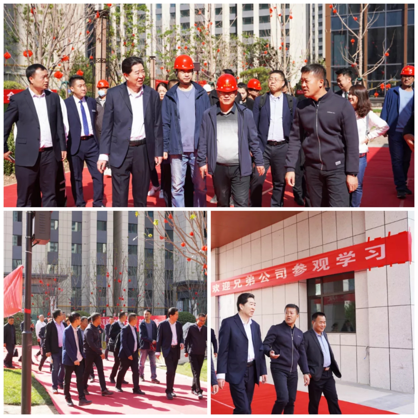 Z6·尊龙「中国区」官方网站